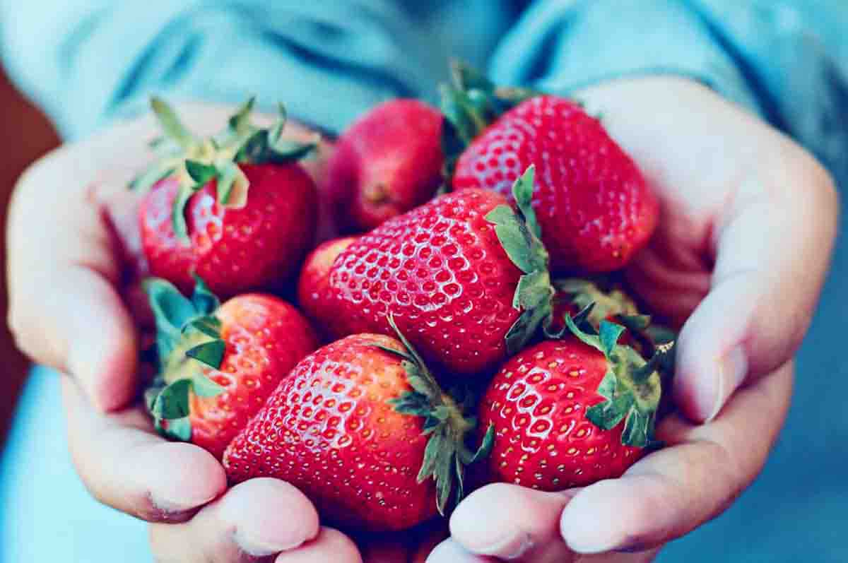 Mampu Menguatkan Memori Otak - Khasiat Strawberry Bagi Wanita
