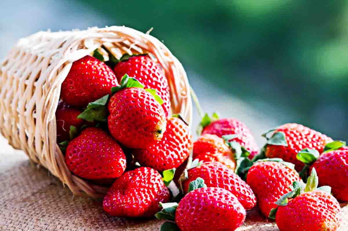Bagus Untuk  Penderita Diabetes - Manfaat Strawberry Untuk Wanita