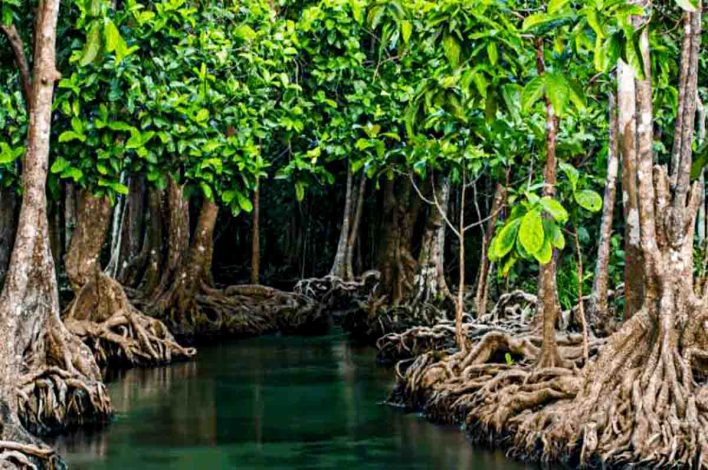 Nama Nama Dataran Rendah Di Pulau Papua Dan Maluku Yang Begitu Cantik