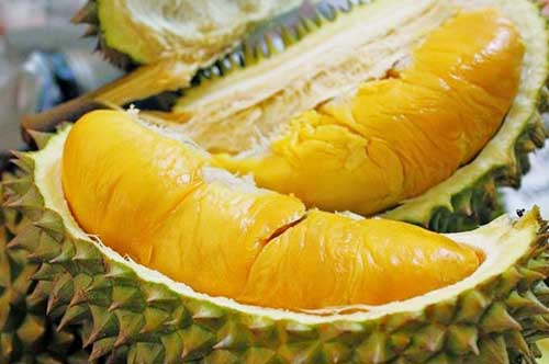 9 Hal penting yang wajib kamu ketahui tentang durian