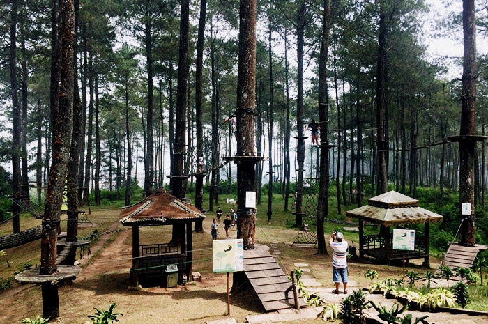 Wisata Lembang Bandung : Bandung Treetop Adventure Park