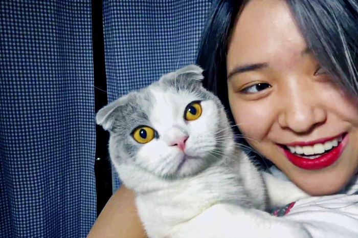 Seorang Penyuka Kucing - Fakta menarik Ryujin Itzy