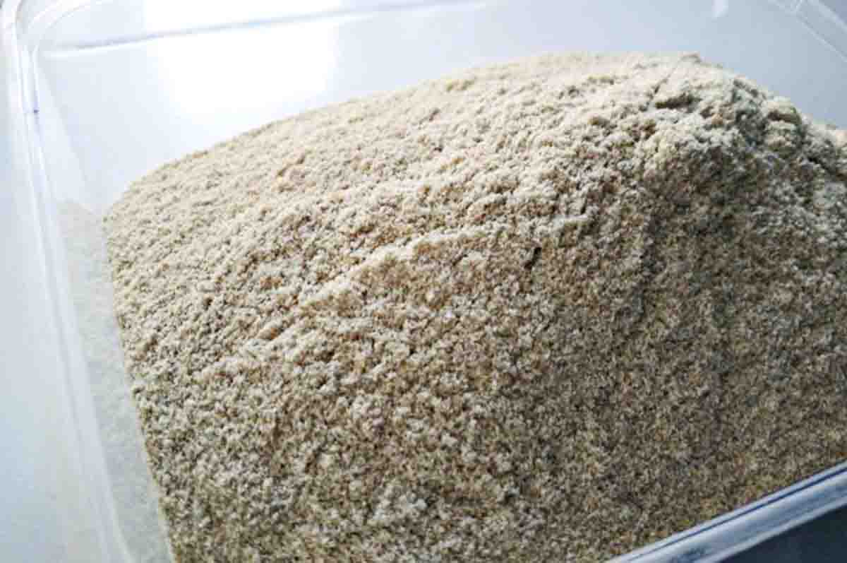 Pollard  - Makanan bebek petelur fermentasi sejenis dedak