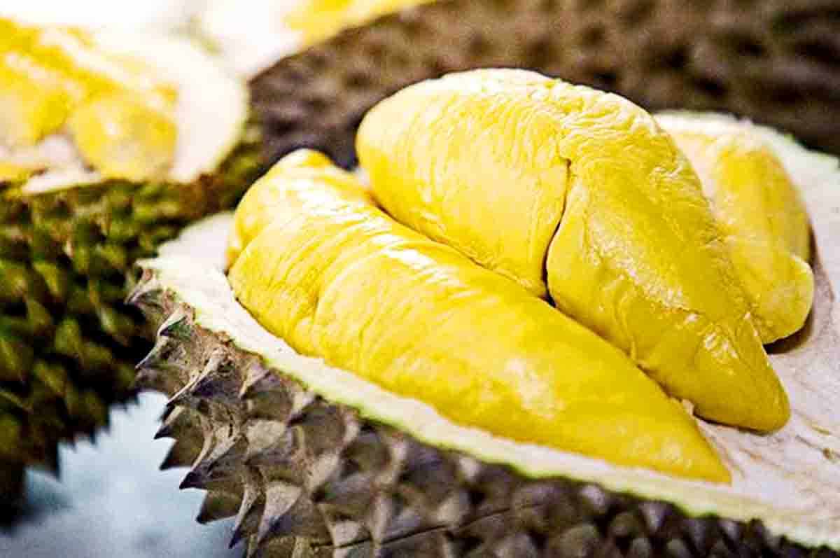 Harganya Mahal - Kekurangan durian musang king yang menguras kantong