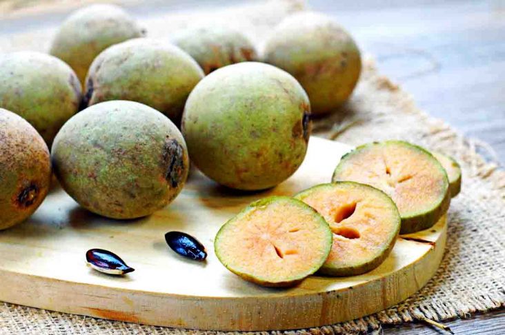 Penetral Asam Lambung – Manfaat buah sawo untuk penderita asam lambung dengan efek anti inflamasi