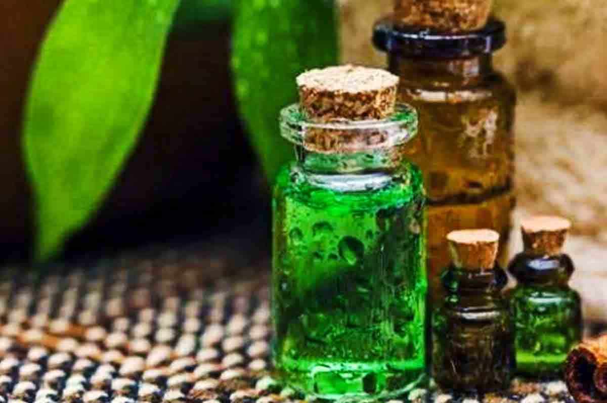 Menggunakan Tea Tree Oil - Cara Membersihkan Telinga yang Tersumbat  Kotoran