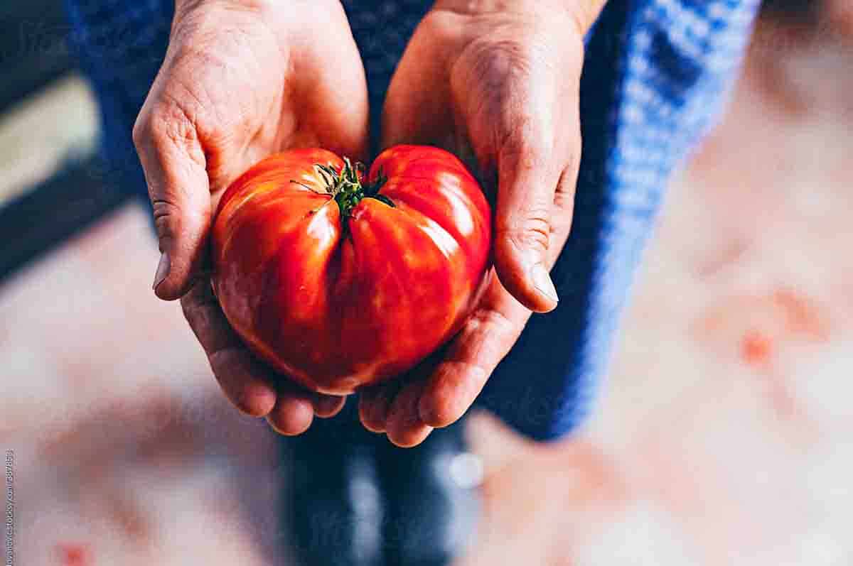 Meningkatkan Kesehatan Jantung - Manfaat minum jus tomat secara rutin untuk sistem kardiovaskular