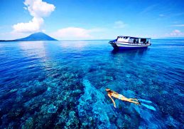 Laut Bunaken - Nama-nama pantai dan laut di Pulau Sulawesi dengan biota laut yang terkenal