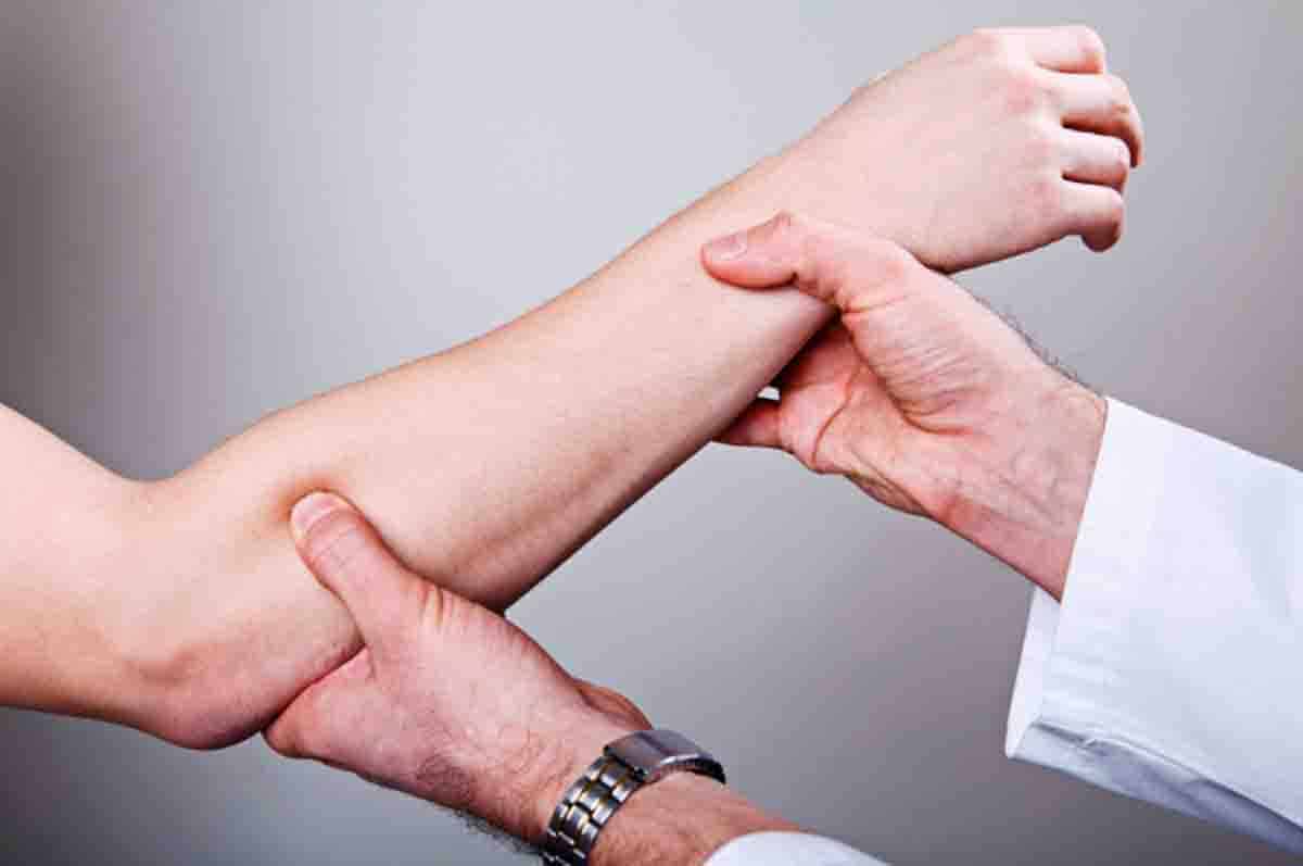 Tempat Menempel Otot - Fungsi tulang pergelangan tangan terhadap otot