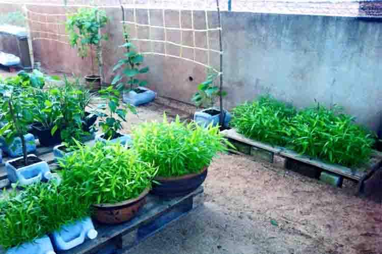 Persiapan Tanah - Cara membuat kebun sayur di pekarangan rumah step pertama