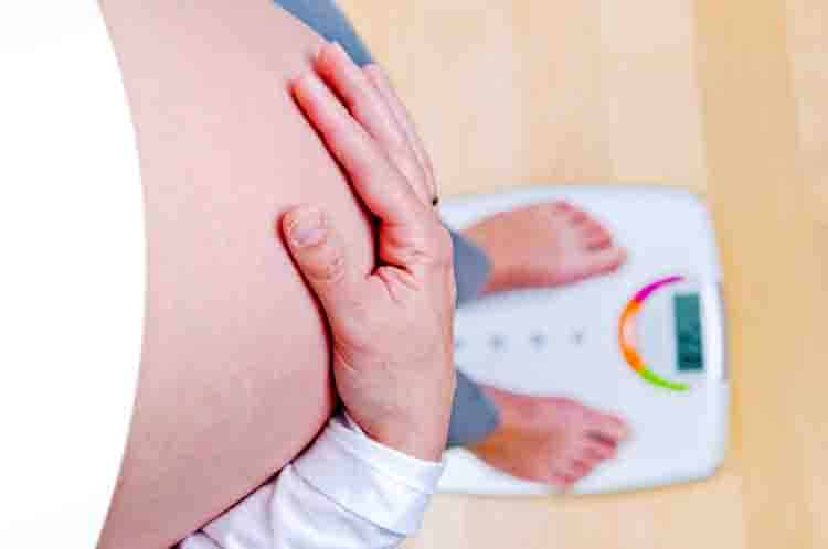 Membantu untuk Menjaga Kenaikan Berat Badan - Manfaat sawi putih untuk ibu hamil agar tidak mengalami obesitas