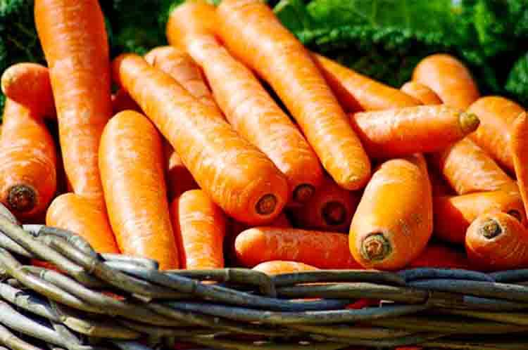 Cara mengkonsumsi wortel untuk kesehatan mata