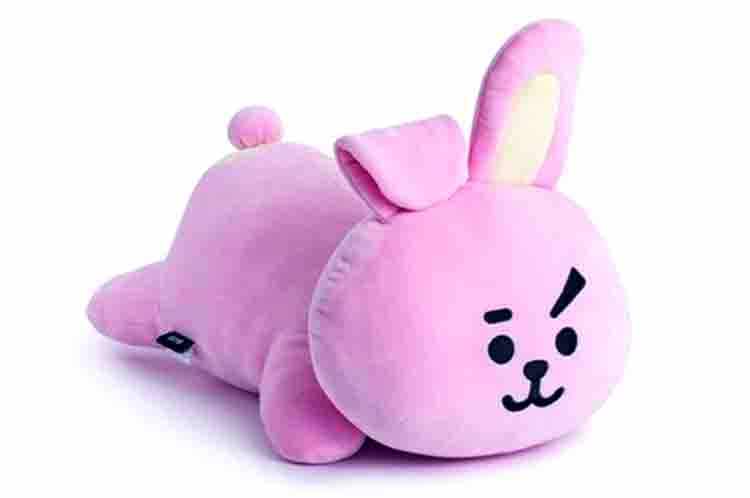 Cooky - Nama boneka BTS dan pemiliknya yaitu Jungkook si Magnae