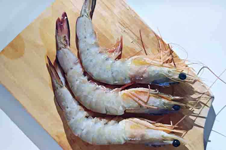 Udang Jerbung - Jenis udang laut yang bisa dimakan serta memiliki tekstur padat