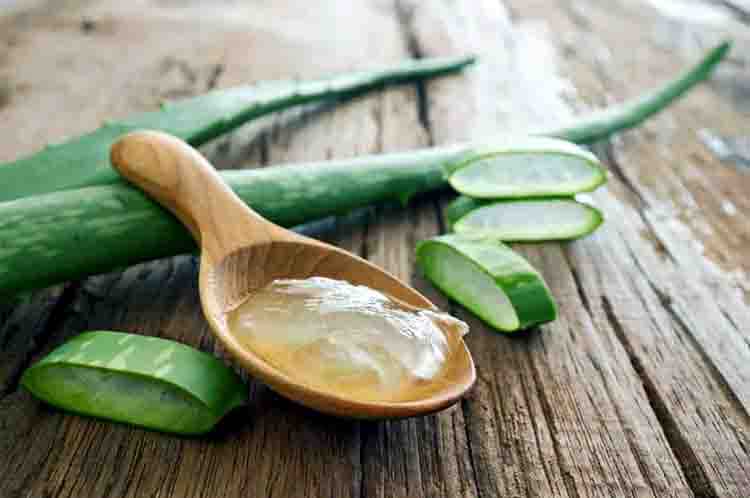 Aloe Vera Gel - Obat cantengan jempol kaki paling ampuh yang harganya murah