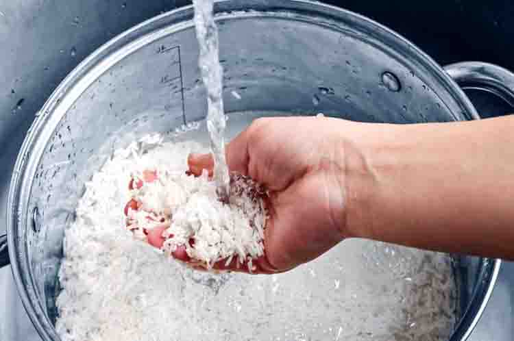 Rendam beras ketan dalam air bersih sekitar 8 jam - Takaran Ragi Untuk Tape Ketan dilakukan setelah selesai merendam beras ketan selama 8 jam