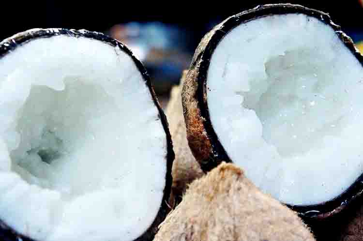 Kalimantan - Harga kelapa kopyor per butir di Kalimantan