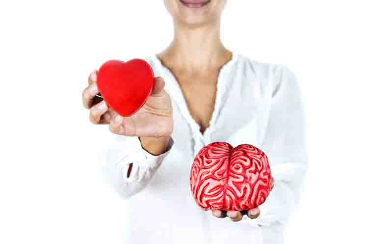 Meningkatkan fungsi otak - Manfaat makan bengkoang setiap hari untuk meningkatkan fungsi otak