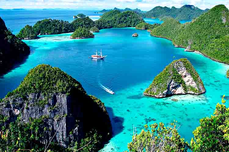 Papua dengan luas 786 ribu km² - Sebutkan 5 pulau besar di Indonesia adalah Papua dengan luas 786 ribu km²