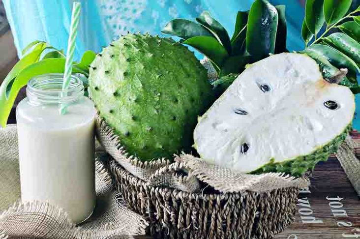 Menunjang Kesehatan - manfaat buah sirsak campur susu bisa menunjang kesehatan