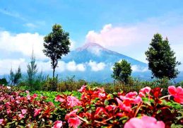 Gunung Kerinci - contoh gunung api strato adalah gunung kerinci