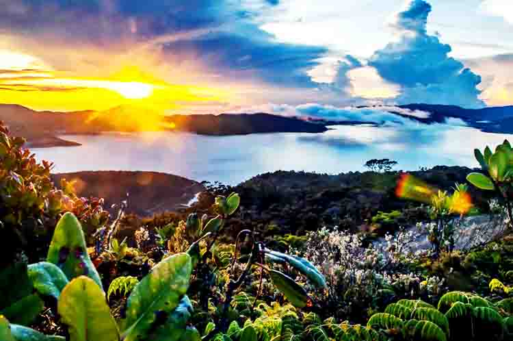 Danau Anggi - Ibu Kota Papua Barat adalah Manokwari yang memiliki keindahan alam seperti Danau Anggi