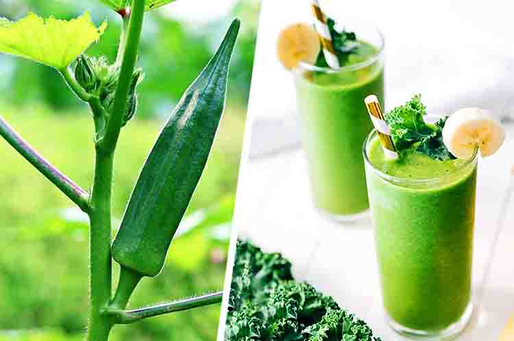 Mengkonsumsi Okra Sebagai Jus Maupun Smoothie - Manfaat okra dan cara konsumsinya adalah dengan mengkonsumsi okra sebagai jus maupun smoothie