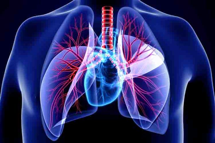 Ukuran Kedua Paru-Paru Tidak Sama Besar - Berapa volume udara residu yang terdapat dalam paru-paru yang diketahui dapat mengakibatkan ukuran kedua paru-paru tidak sama besar