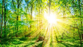 Membantu Proses Fotosintesis - Sumber energi utama di bumi adalah matahari yang berperan membantu proses fotosintesis