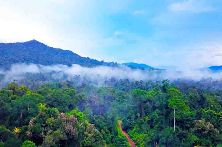 Gunung Bukit Raya - Nama-nama gunung di pulau Kalimantan salah satunya adalah gunung bukit raya