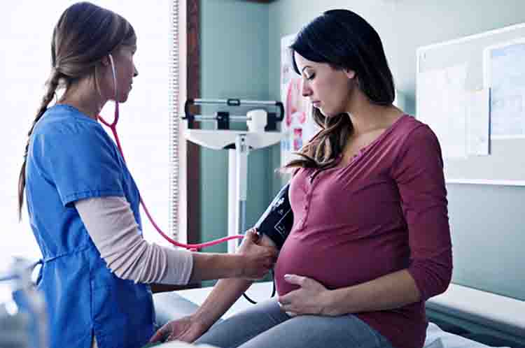 Membantu Mengendalikan Tekanan Darah - Bolehkah ibu hamil makan sayur nangka? Tentu saja hal ini boleh karena membantu mengendalikan tekanan darah