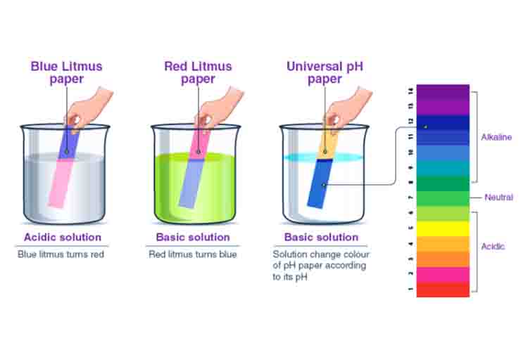 Menetralkan Jenis Bahan Kimia - Lakmus biru dalam larutan asam akan berwarna merah dengan fungsi menetralkan jenis bahan kimia