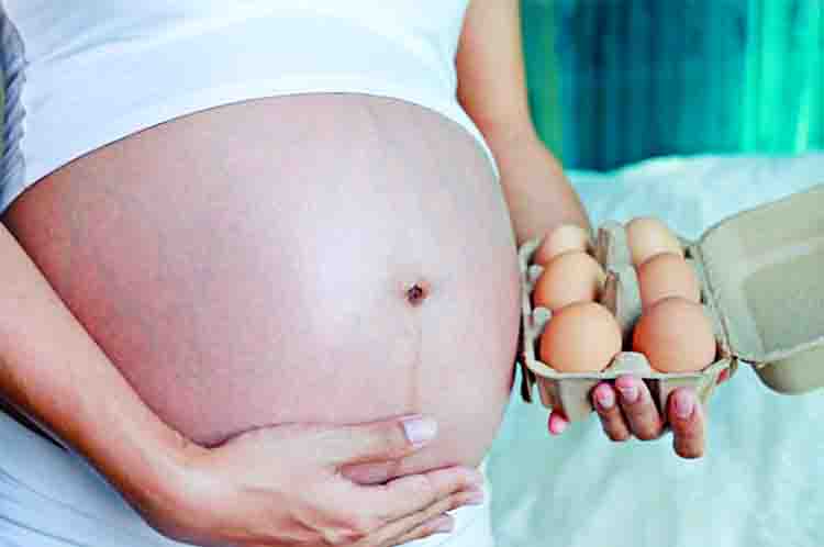 Kaya Akan Protein - Manfaat telur rebus untuk ibu hamil trimester 3 adalah kaya akan protein 