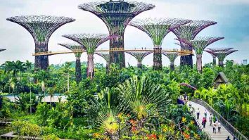 Memiliki Banyak Taman Kota - Negara terkaya di Asia Tenggara adalah Singapura dengan fakta menarik yakni memiliki banyak taman kota
