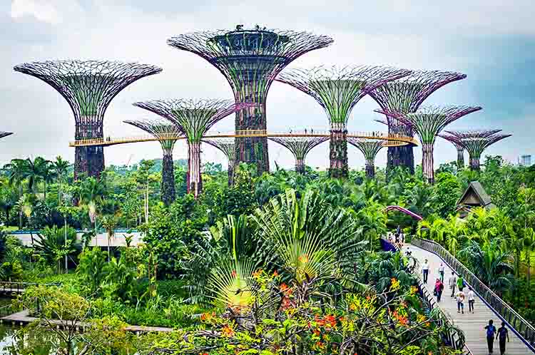 Memiliki Banyak Taman Kota - Negara terkaya di Asia Tenggara adalah Singapura dengan fakta menarik yakni memiliki banyak taman kota