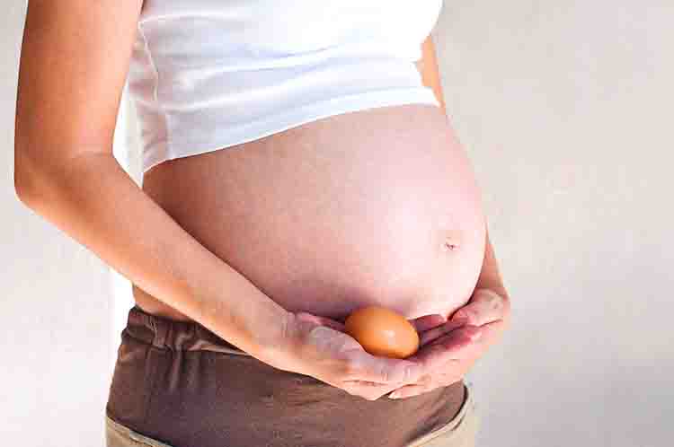 Menambah Zat Besi - Manfaat telur rebus untuk ibu hamil trimester 3 adalah untuk menambah zat besi