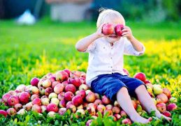 Menjaga Kesehatan Mata - Apel mengandung vitamin apa dengan manfaat menjaga kesehatan mata