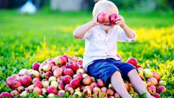 Menjaga Kesehatan Mata - Apel mengandung vitamin apa dengan manfaat menjaga kesehatan mata