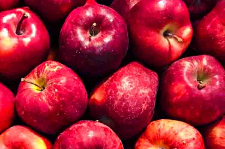 Meningkatkan Asupan Air - Apel mengandung vitamin apa  dengan manfaat meningkatkan asupan air